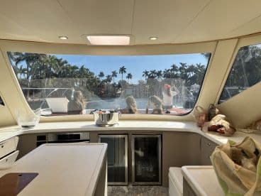 A view from inside the boat's cabin, showcasing the seating area and a glimpse of guests enjoying the sunny day outside, perfect for social gatherings on the water.
