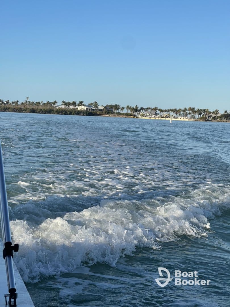 A scenic view of the water with gentle waves, showcasing the beautiful coastline and palm trees in the background — perfect for capturing the essence of a relaxing boat trip.