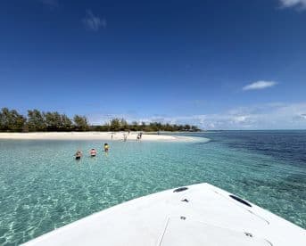 Guests enjoy a sandbar stop, swimming in crystal-clear waters with a picturesque beach in the background — a perfect day for relaxation and fun in the sun.