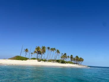 A picturesque view of a secluded island with swaying palm trees and pristine sandy beaches, perfect for a tropical getaway or island hopping adventure.