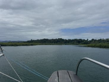 A serene view of a mangrove waterway, showcasing the lush greenery and calm waters — perfect for eco-tours and nature exploration.