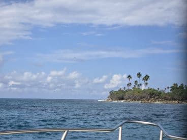 A picturesque view of a tropical coastline with palm trees, showcasing the beauty of the island and the serene waters — perfect for nature lovers and adventure seekers.