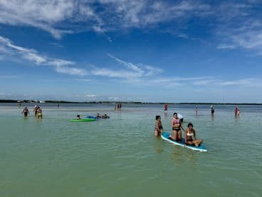 A lively group enjoys a sunny day at the beach, swimming and paddleboarding in shallow waters — perfect for family fun and relaxation.
