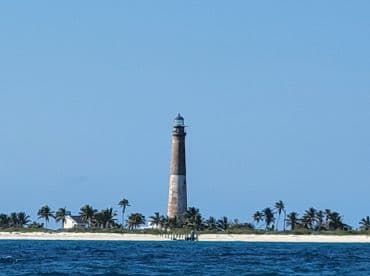 A scenic view of a historic lighthouse standing tall against a clear blue sky, surrounded by lush palm trees and pristine coastline — a perfect representation of coastal beauty.