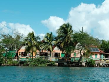 A scenic view of a waterfront building surrounded by palm trees, showcasing a tranquil coastal environment.