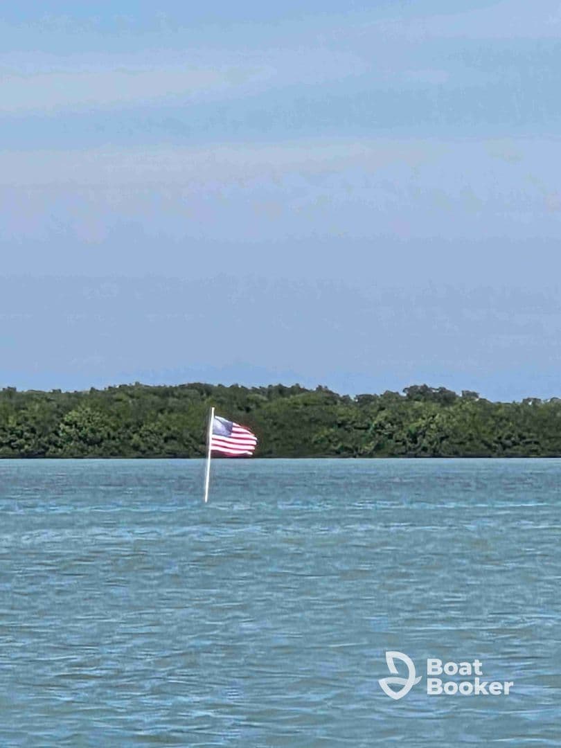 An unclear image featuring a flag in the water, with a backdrop of mangroves. The focus and details are ambiguous.