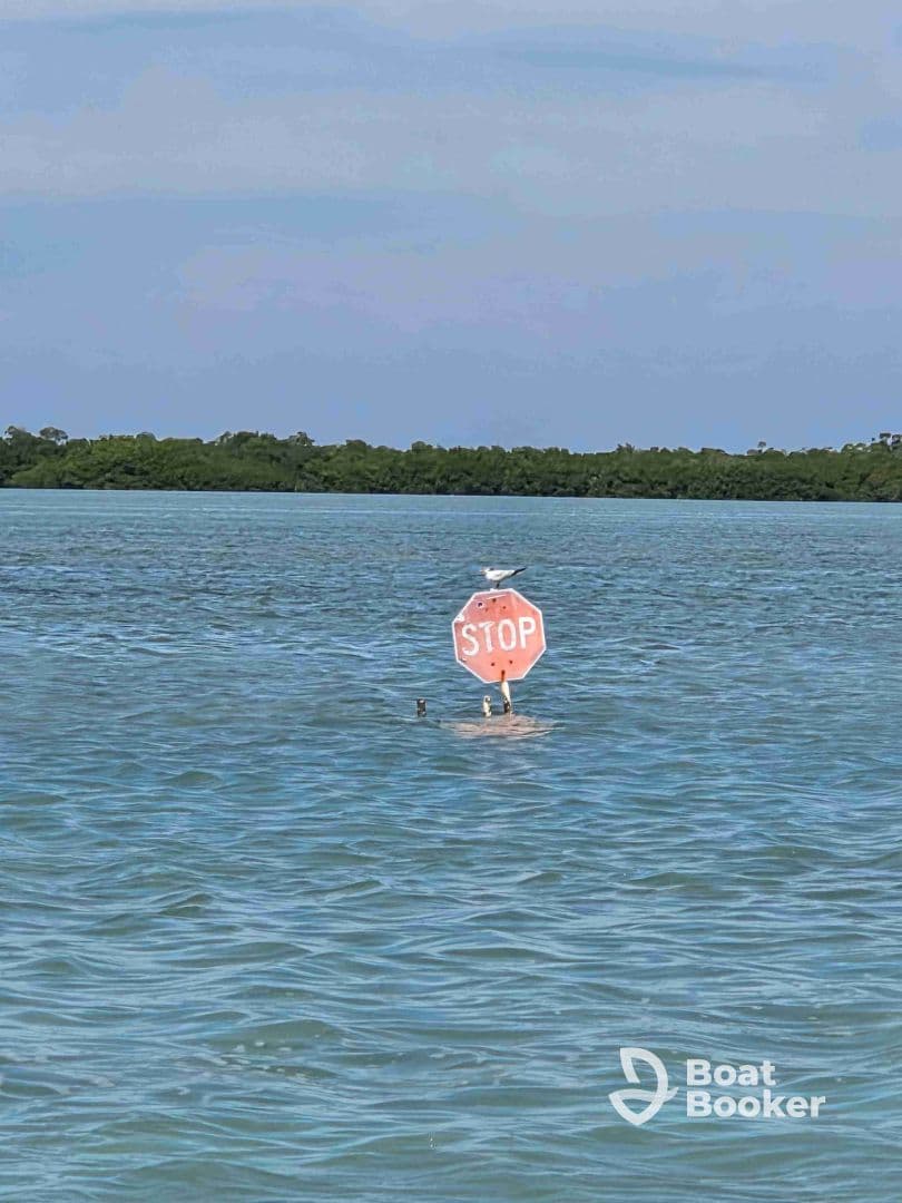 An unclear image featuring a stop sign in the water, surrounded by a scenic backdrop of mangroves. The focus is ambiguous, making it difficult to determine the main subject.