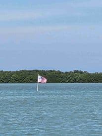 An unclear image featuring a flag in the water, with a backdrop of mangroves. The focus and details are ambiguous.