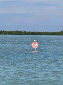 An unclear image featuring a stop sign in the water, surrounded by a scenic backdrop of mangroves. The focus is ambiguous, making it difficult to determine the main subject.