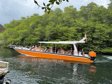 A lively group enjoys a boat tour through the mangroves, showcasing the beauty of nature while having fun on the water.