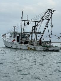 A fishing boat navigates through calm waters, with a crew member visible on deck, showcasing the essence of maritime work and adventure.