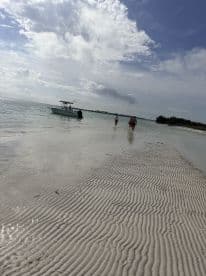 A group of people walks along the beach towards a boat, capturing the essence of a fun day at the sandbar — perfect for family outings and aquatic adventures.