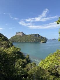 A stunning view of a lush island and tranquil waters, perfect for exploring the natural beauty of coastal landscapes.
