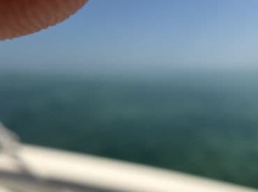 The image is unclear and blurry, making it difficult to identify any specific subject or details.