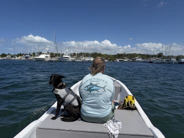 A person enjoys a leisurely boat ride with their dog, surrounded by a scenic marina — perfect for pet-friendly outings on the water.
