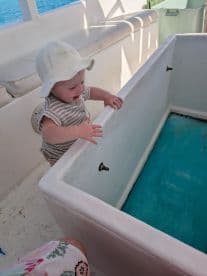 A joyful child explores the interior of a boat, showcasing the cozy cabin space and inviting atmosphere for family adventures on the water.