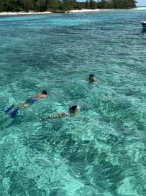 A group of snorkelers explores the vibrant underwater world in crystal-clear waters, making for an unforgettable aquatic adventure.