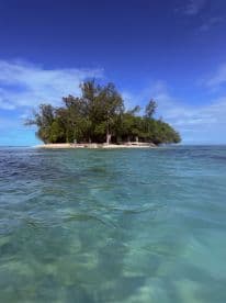 A picturesque view of a secluded island with lush greenery and clear turquoise waters, perfect for beach outings and island adventures.