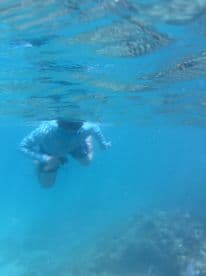 A snorkeler explores vibrant underwater scenery, showcasing the beauty of marine life and coral reefs — a perfect adventure for ocean enthusiasts.