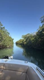A serene view of a narrow waterway surrounded by lush mangroves, perfect for exploring the natural beauty of coastal ecosystems.