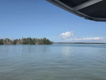 A scenic view of calm waters and mangroves, though the image lacks clarity and focus.