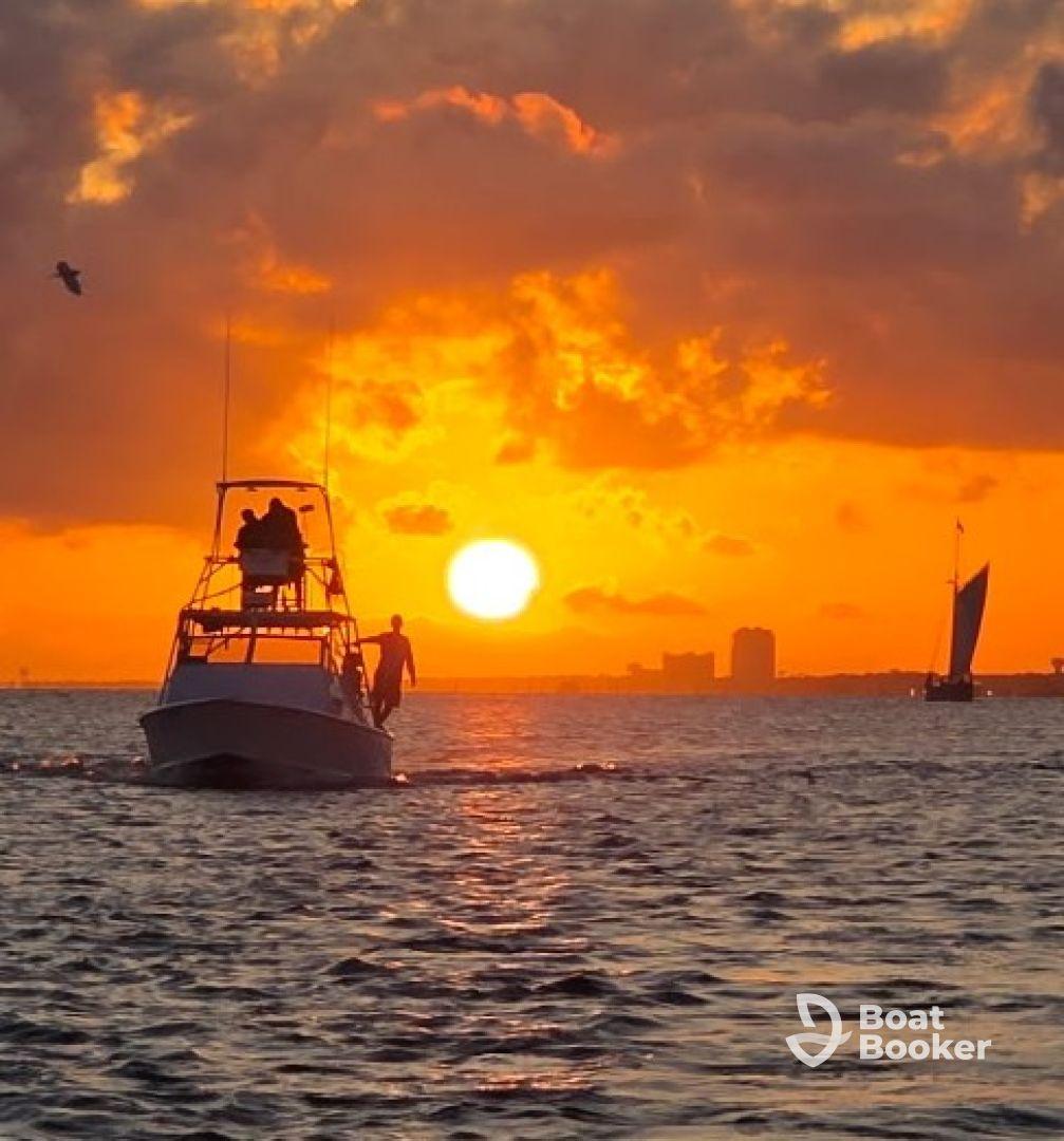 very nice sunset charter 
