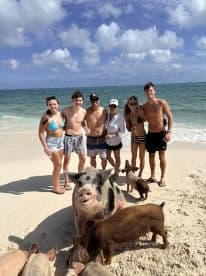 A group of friends interacts with friendly pigs on the beach, creating a memorable wildlife experience in the Bahamas.