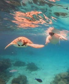 A snorkeler interacts with a sea turtle in crystal-clear waters, showcasing a memorable wildlife encounter in a vibrant marine environment.