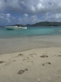 A sleek speedboat anchored in clear turquoise waters, showcasing a serene beach setting perfect for a day of relaxation and adventure.