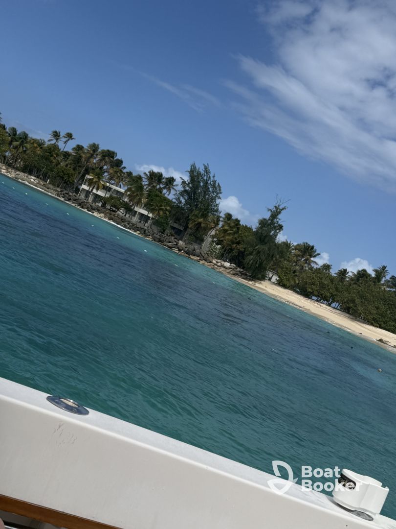 Best Day of Our Whole Vacation