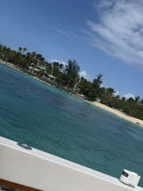 A picturesque view of a serene coastline with palm trees and clear turquoise waters, perfect for a relaxing day on the boat.