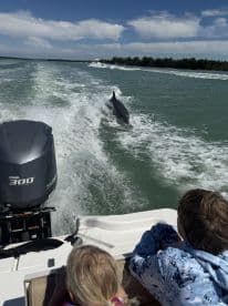 A thrilling moment as children watch a dolphin swimming alongside their boat, showcasing the beauty of marine wildlife in a playful encounter.