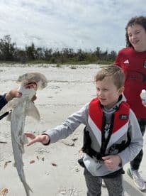 A child reaches out to touch a shark being held by an adult on the beach, showcasing an exciting wildlife encounter perfect for family adventures.