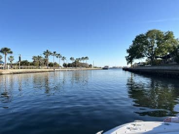 A serene view of a calm waterway lined with palm trees, perfect for enjoying a peaceful day on the water.