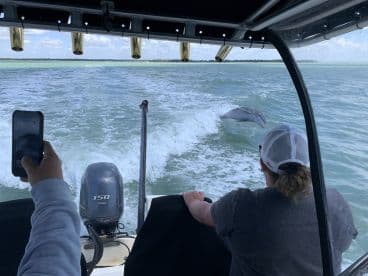 A thrilling moment as a dolphin leaps from the water alongside a boat, capturing the excitement of wildlife encounters on the water.