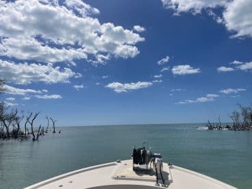 A serene view from the bow of a boat, showcasing calm waters and a clear blue sky, perfect for a day of exploration in nature.