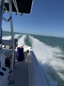 A sleek speedboat cruising through clear waters, showcasing the thrill of boating adventures on the open sea.