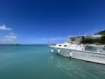 A stunning view of a boat docked in crystal-clear turquoise waters, surrounded by a picturesque landscape — perfect for showcasing marine adventures.