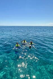 A lively group enjoys swimming in crystal-clear waters, showcasing the fun of snorkeling adventures in a tropical paradise.
