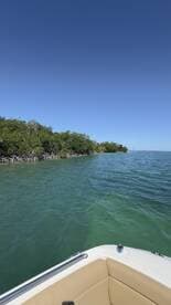 A scenic view of mangroves along the water's edge, captured from the bow of a boat, showcasing the beauty of nature during a boating trip.