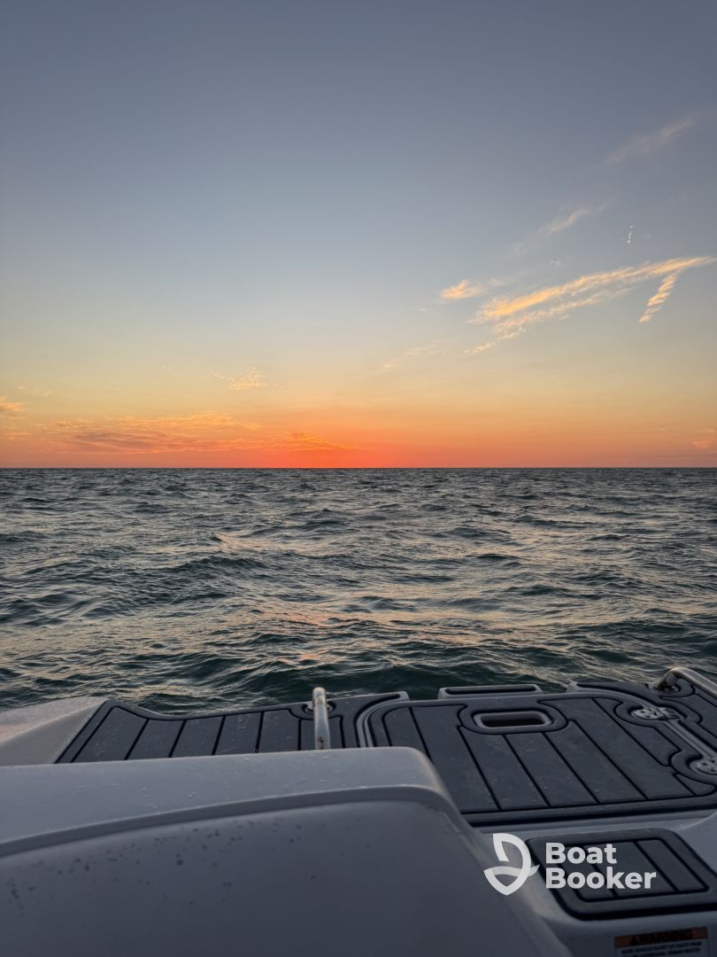 Fantastic Evening
