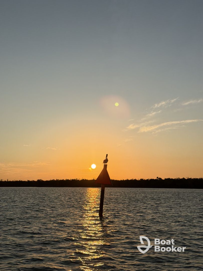 Fantastic Evening