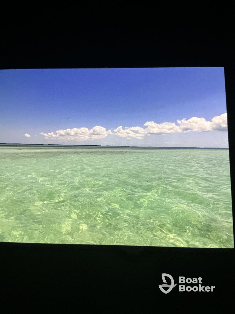 Awesome Sandbar Excursion