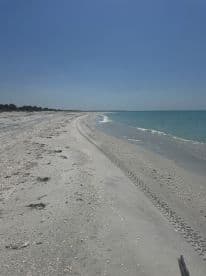 A serene beach scene with soft sand and gentle waves, perfect for a relaxing day by the water.