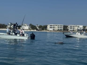 A group of fishermen on a boat encounters a dolphin swimming nearby, showcasing a delightful moment of wildlife interaction in a coastal setting.