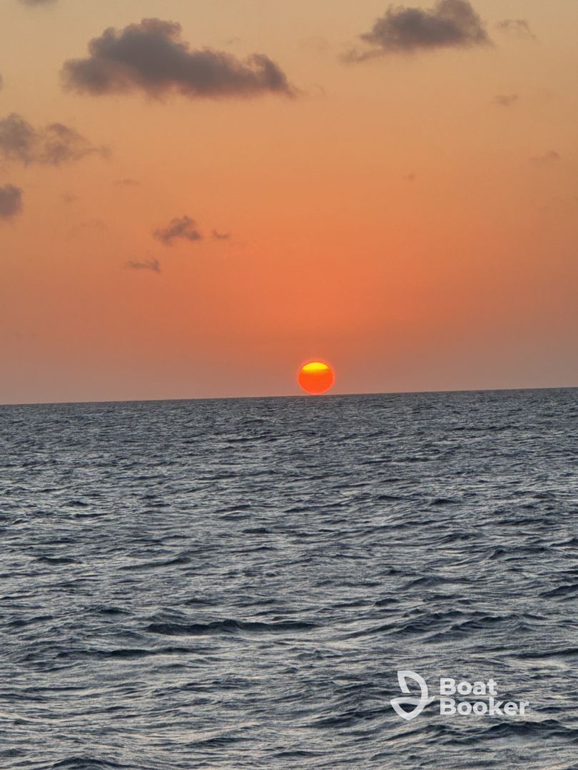 Fantastic Private Charter Tour