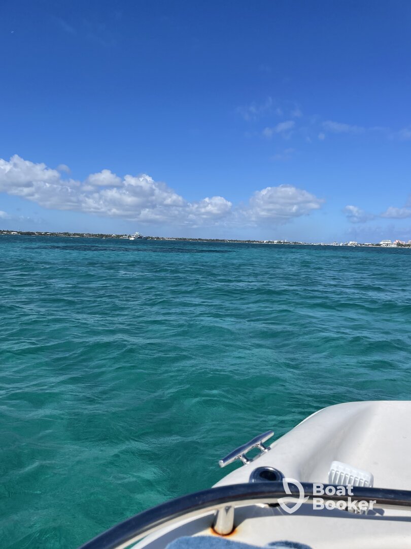Very relaxing and chill boat ride!