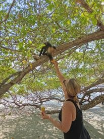 A woman feeds a monkey in a lush, tropical setting, showcasing a delightful human-animal interaction in nature.