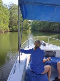 A serene moment on a boat navigating through lush mangroves, showcasing the beauty of nature and relaxation on the water.