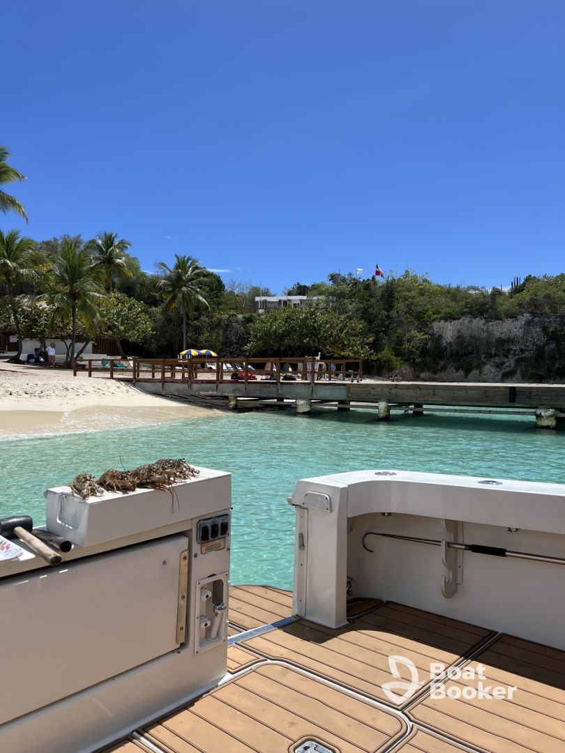 Isla Catalina 10/10